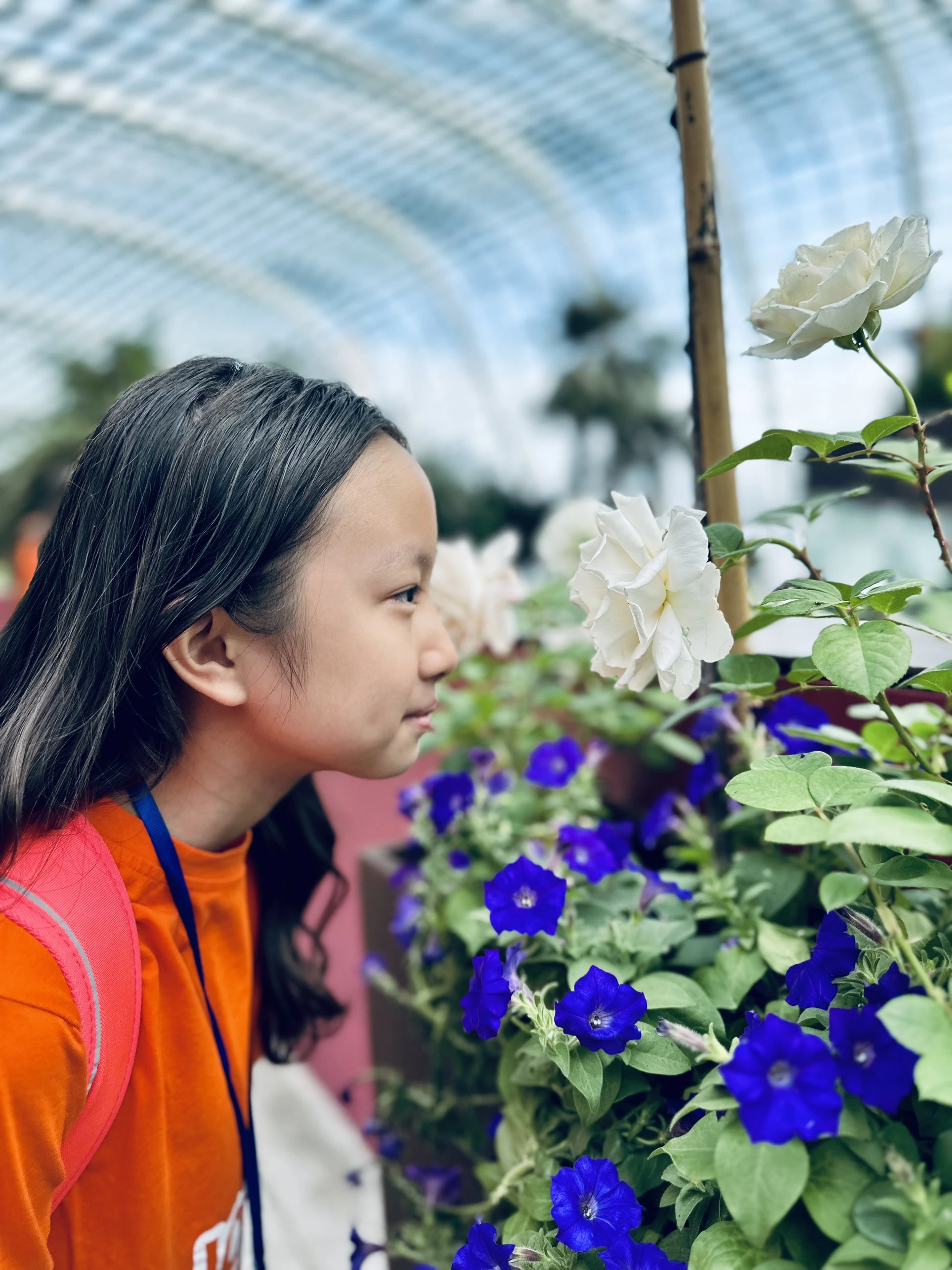  Khám phá Garden By The Bay - Hành Trình Cuối Tuần Cùng Học Viên Trại Hè Johor Singapore 