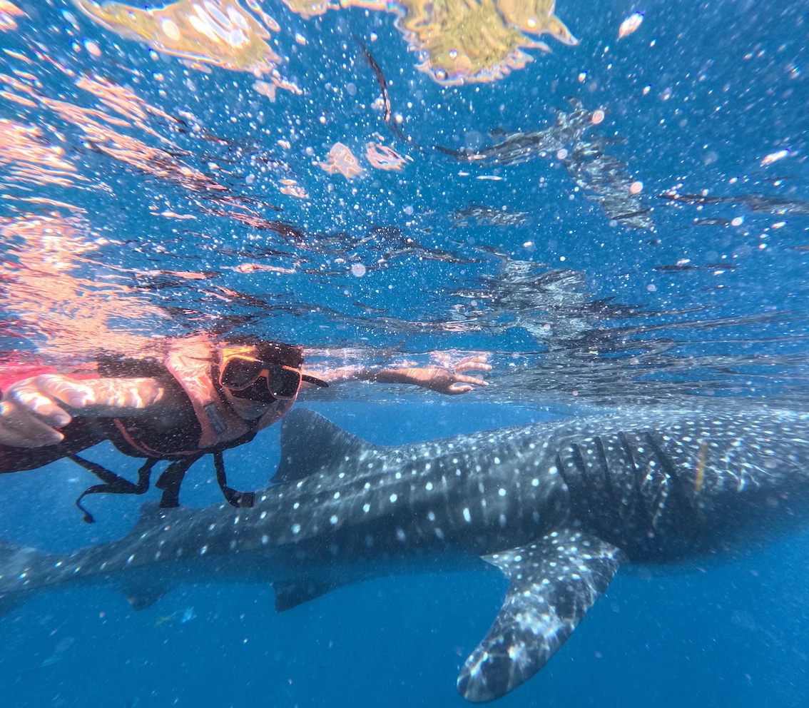 Hành Trình Khám Phá OSLOB – Trải Nghiệm Đáng Nhớ Trong Trại Hè CIA Philippines 2025